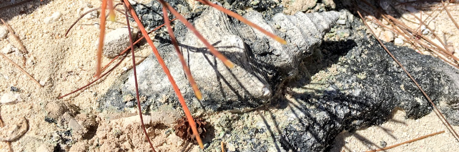 Shamindri Tennakoon, PhD banner