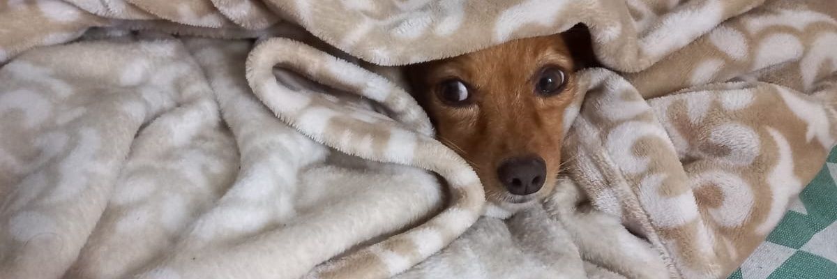 s_macias's profile banner image