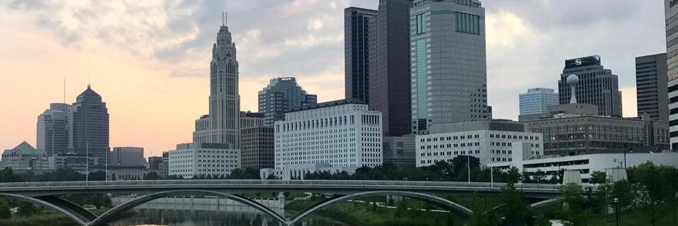 Molly Brewer Fox banner