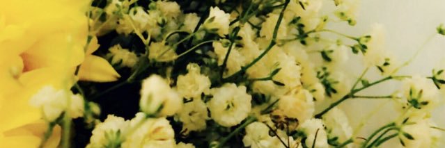 mu22128697's profile banner image