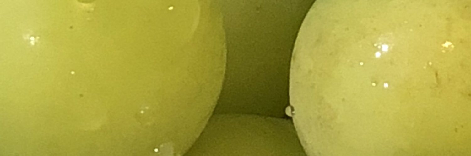 hipposystem's profile banner image