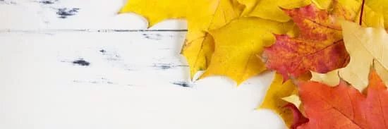 Jeff Rybak🍁 banner