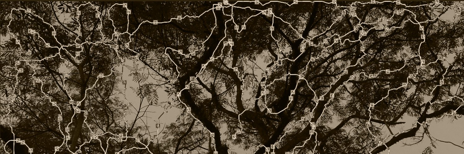 eelhum's profile banner image