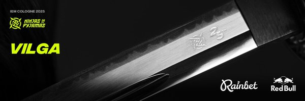 vilgaCS Profile Banner