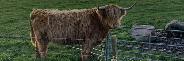 Suffolk_Chris Profile Banner