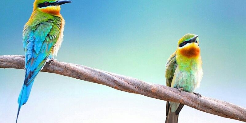 suchetanbhat's profile banner image