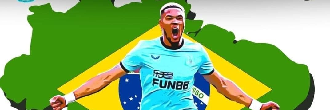 NUFC_Bristol_'s profile banner image