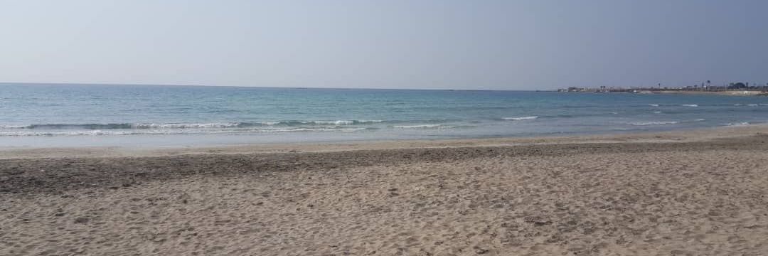 فهیمـــہ 🇮🇷 banner