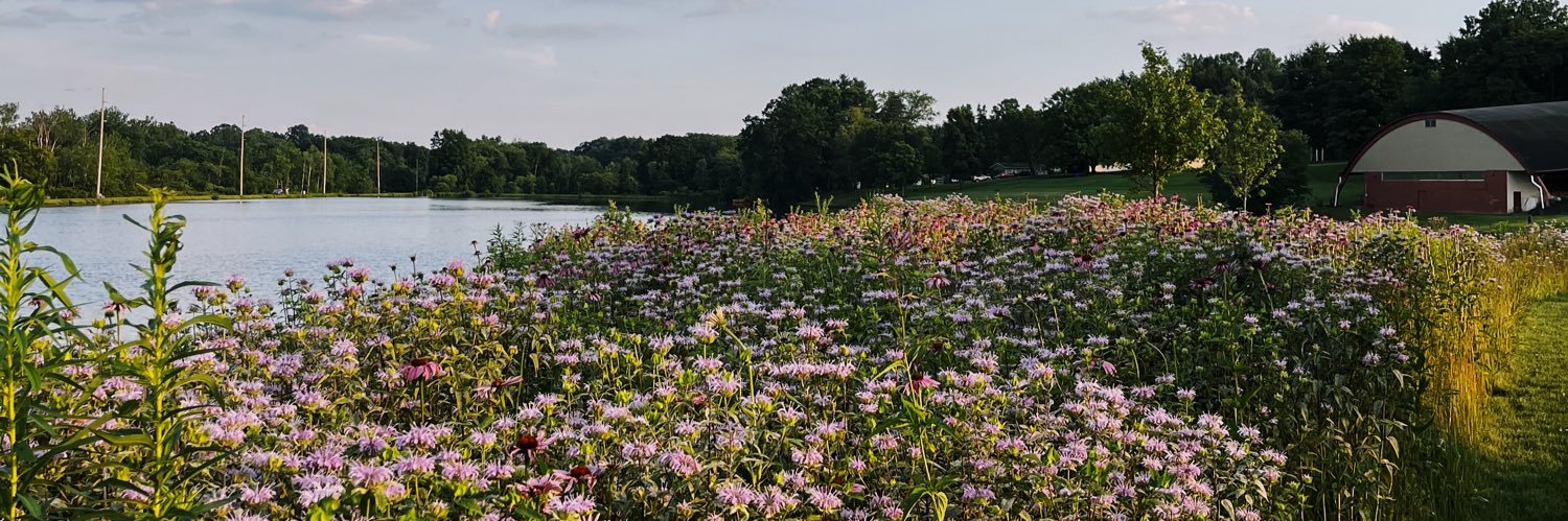 katie fitzpatrick banner