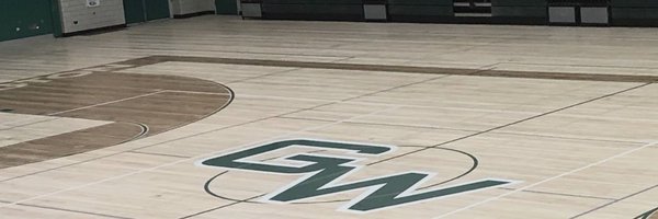 GWGirlsHoops Profile Banner