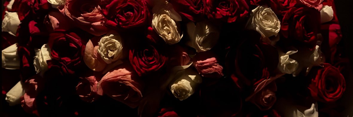 NormaItzel32's profile banner image