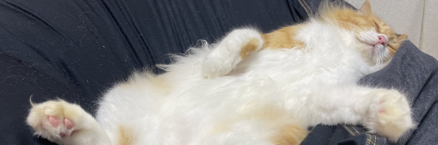 さんまの塩焼き🐈 banner