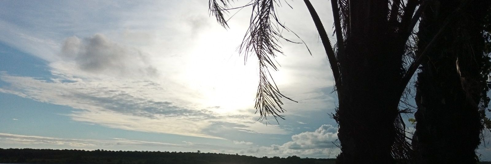 🔥A.L.E.X🔥🕉️♏ banner