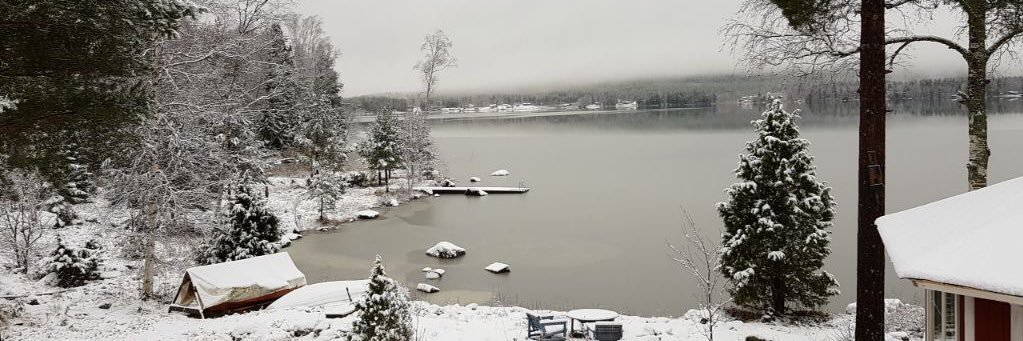 Lorenzo Lafranchi banner