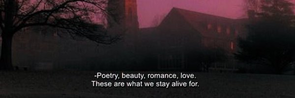 autumnaphile Profile Banner