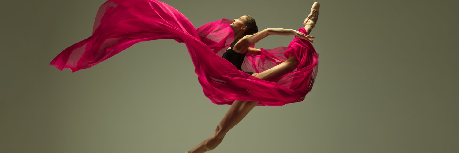 The National Arts Fundraising School banner