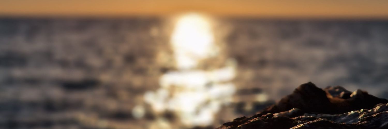 Arcti1983's profile banner image
