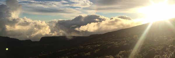 Sophielmq Profile Banner