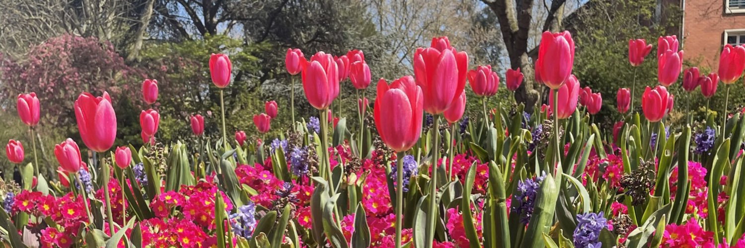 mariepernel's profile banner image
