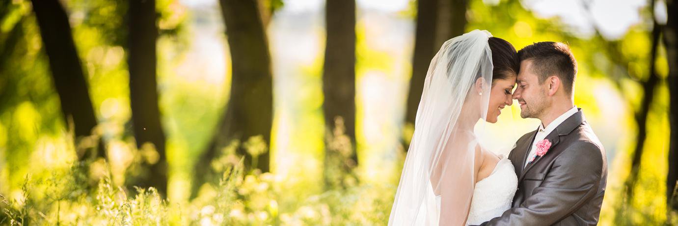 Central Exhibitions banner