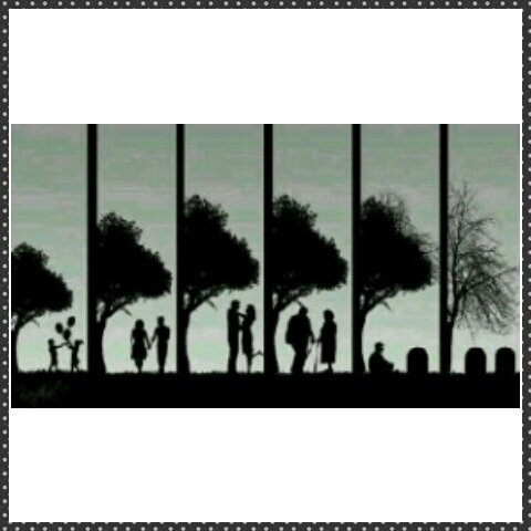 farah_fap's profile banner image