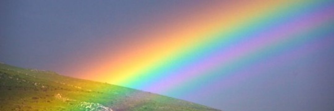 Kevin Anthony PhD banner