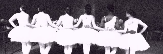 swan_within's profile banner image
