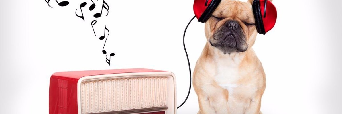 Monnyii's profile banner image