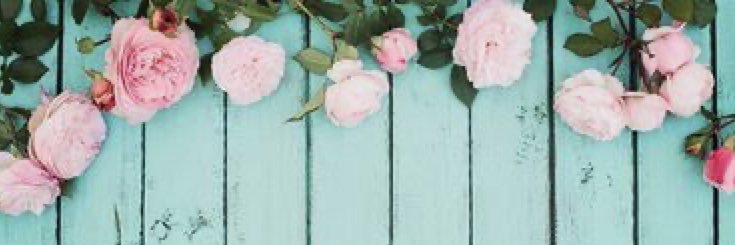LolaIsonips's profile banner image