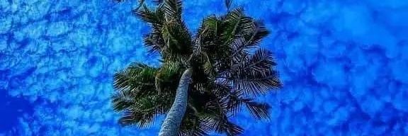 ade_baskara_'s profile banner image