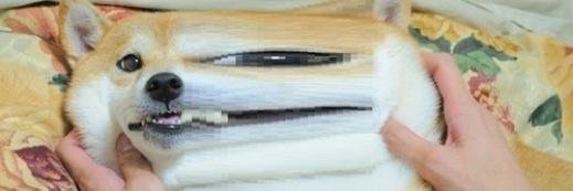 CTAP__TPEK's profile banner image