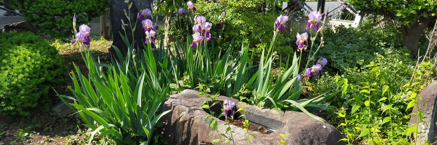 Lieziリエズ 管理業務主任者の受験勉強中 banner