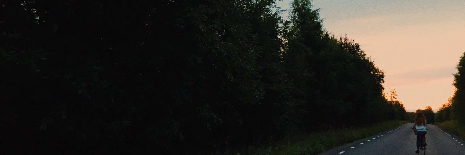 eelinjuslin's profile banner image