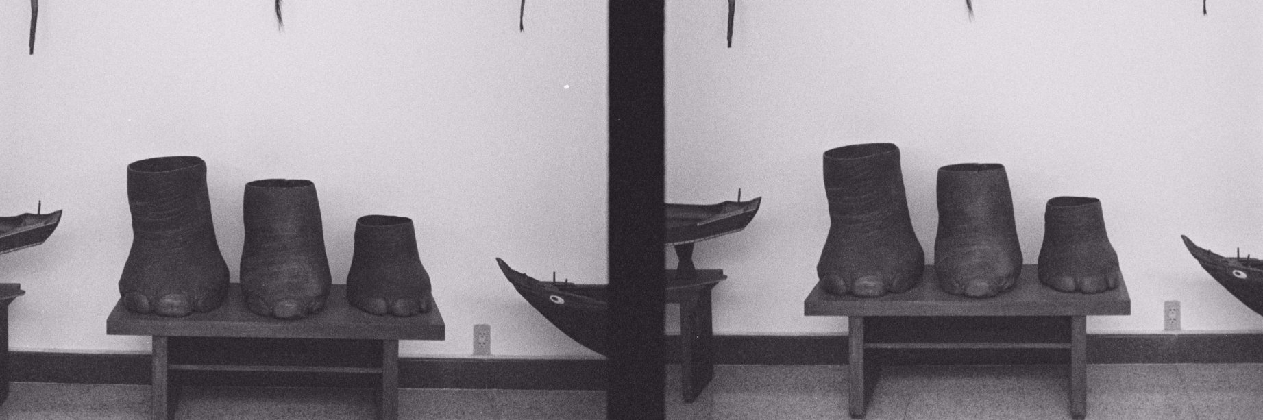 cheetahtooth's profile banner image
