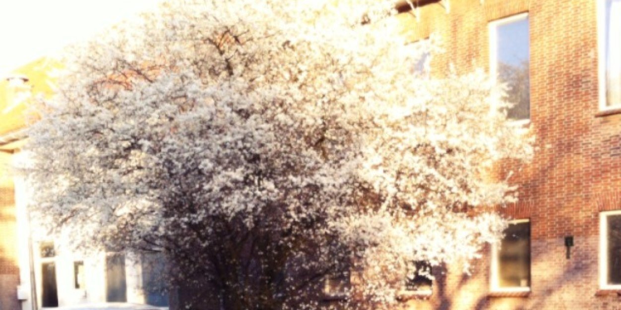 ri_richelle3's profile banner image