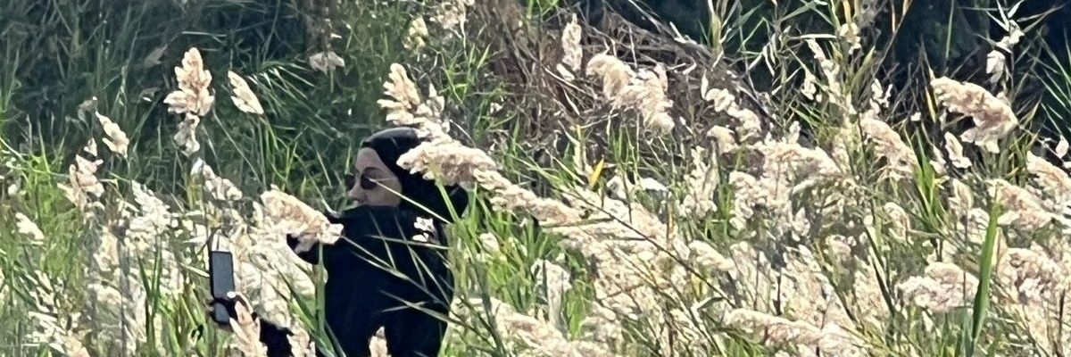 AsboolFatima's profile banner image