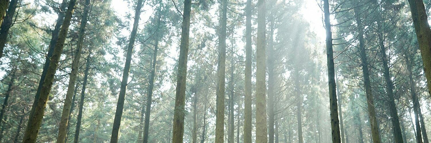 Khaerani 🇵🇸 banner