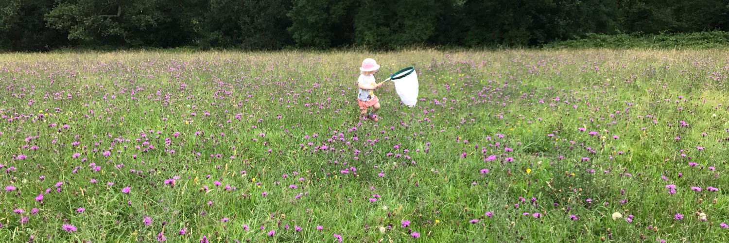 PhaedraPerry's profile banner image