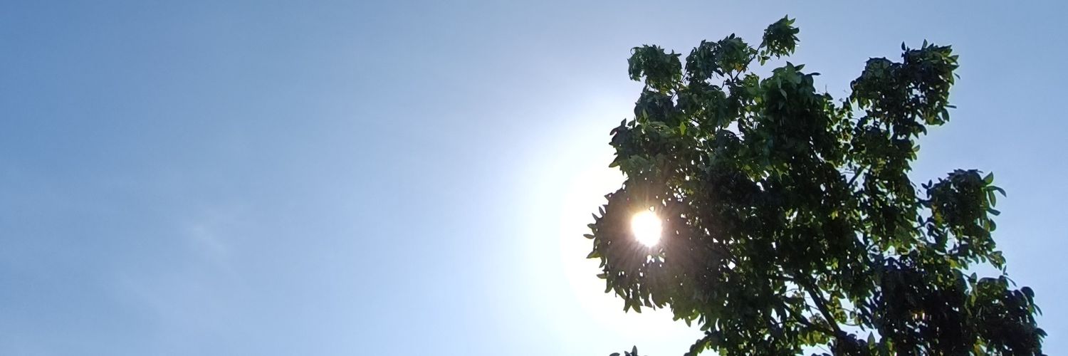mgasiningnikim's profile banner image