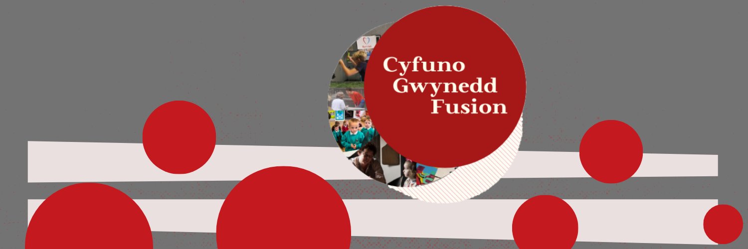 CyfunoGwynedd's profile banner image