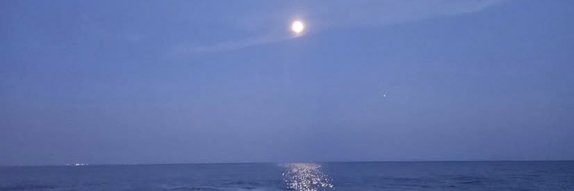 isadora⁷ 🪭 VAI VER O BTS DE NOVO banner