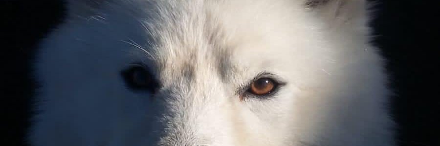 teotug's profile banner image