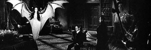⛧VAMPirada⛧ 🇵🇸 banner