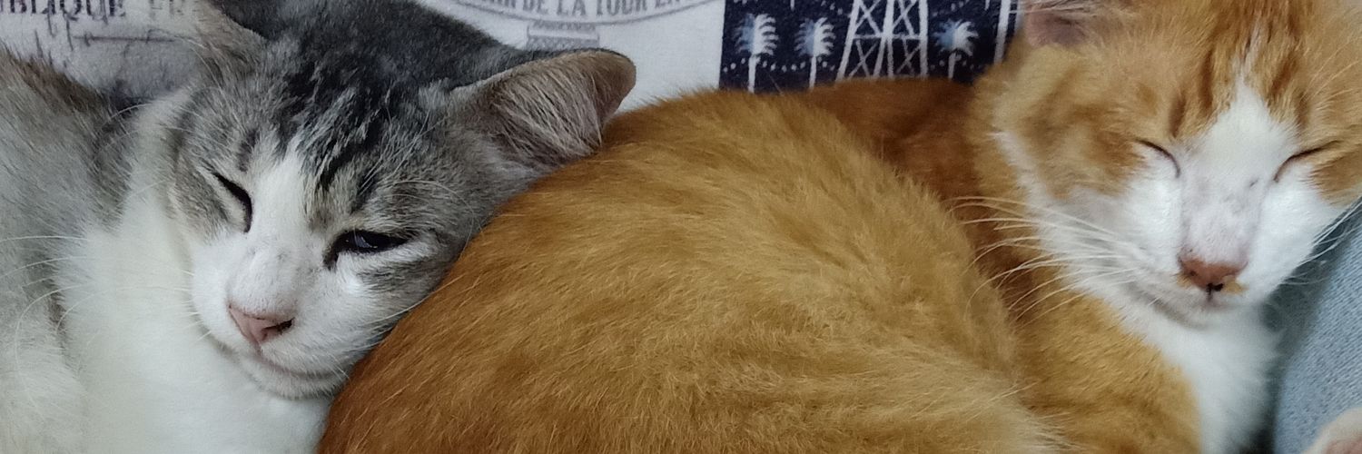 bananacatsy's profile banner image