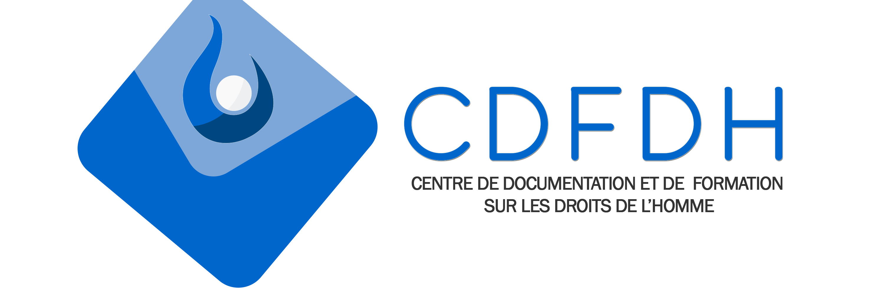 CDFDH_Togo banner