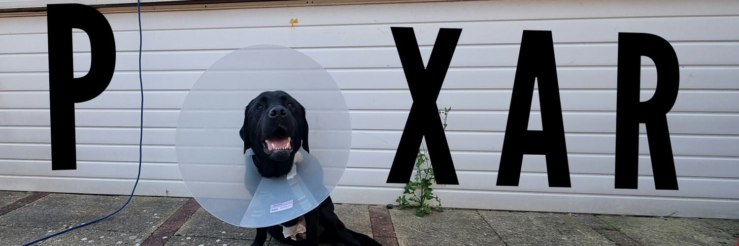 Vixy06's profile banner image