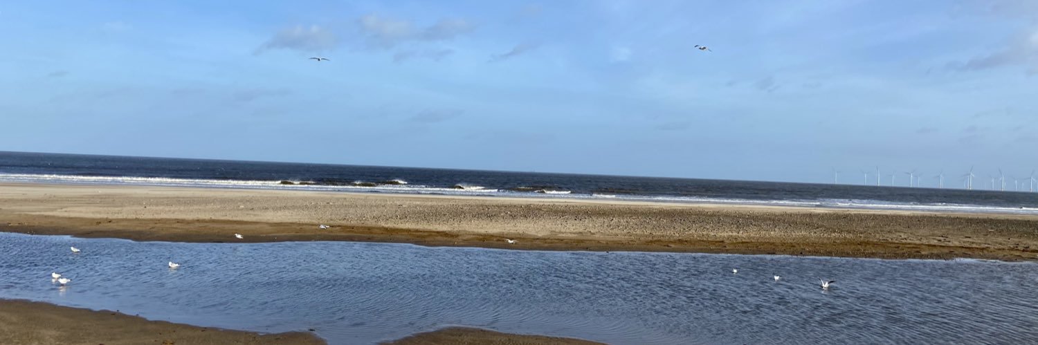 Bev Reilly 🌈🦋 banner