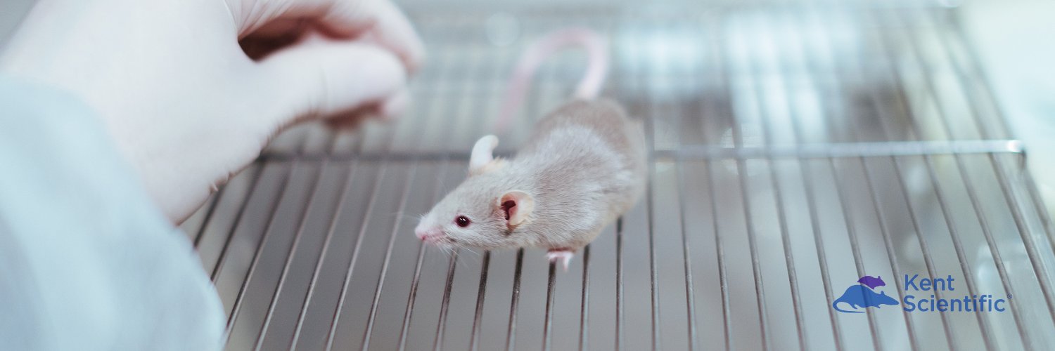 Kent Scientific banner