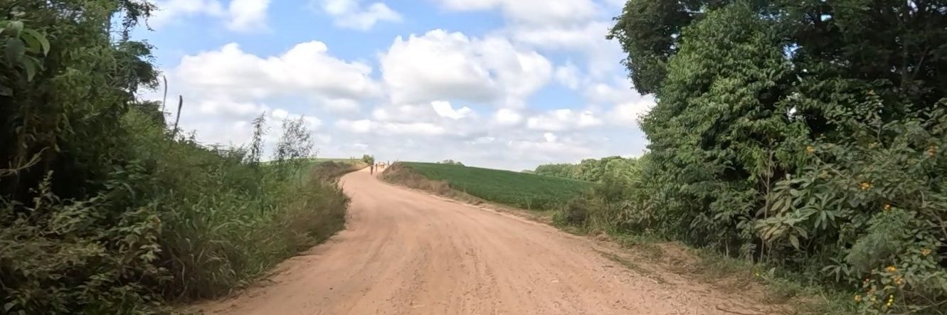 Marcelo Brischke banner