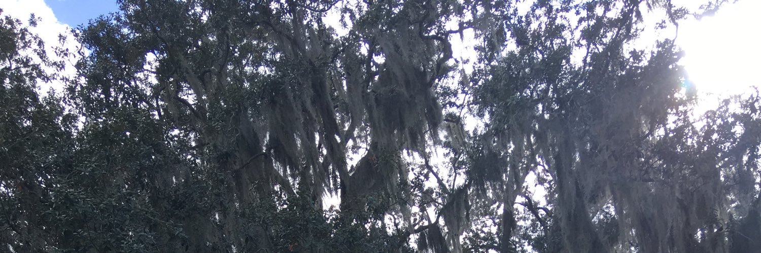 Maureen Stone banner